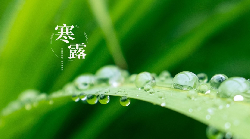健康密碼，都藏在了秋天里！