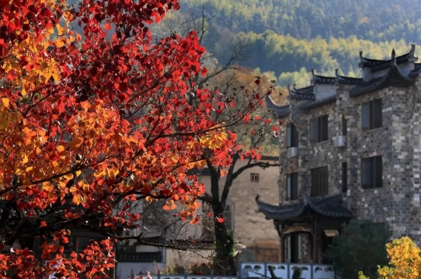 上海夕陽(yáng)紅口腔門(mén)診部